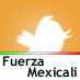 THMexico