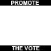 Promote The Vote