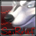 SeiRruf_Husky