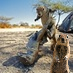 SquirrelMaster