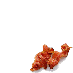 I love bacon