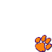 Clemson University