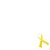 Spina Bifida