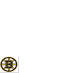 Bruins