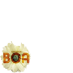 BoA's fanclub