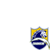 SD Chargers