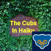 TheCubsInHaiku