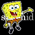 stormid