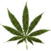 Way2Blue4You