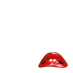 Rocky Horror Picture Show
