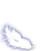 feather2