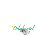 Ddub girls rising & grinding
