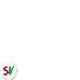 Sosialistisk Venstreparti