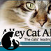 alleycatallies