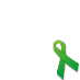 Tie a Green Ribbon for Jast