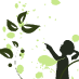 green wonderland
