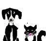 Animal Rescue Superhighway