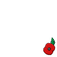 ANZAC Day Poppy