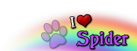 Spider - Over The Rainbow
