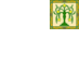 Federation of Windurst C