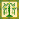 Federation of Windurst A