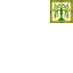Federation of Windurst Cs