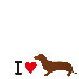 I Love Duchs