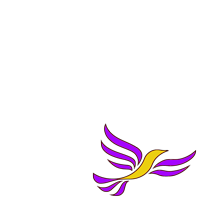 LibDem for PR