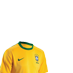 Eu torço pelo Brasil na Copa