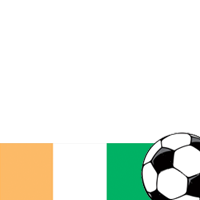 World Cup 2010: Ivory Coast