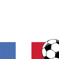 World Cup 2010: France