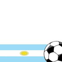 World Cup 2010: Argentina