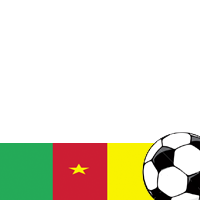 World Cup 2010: Cameroon