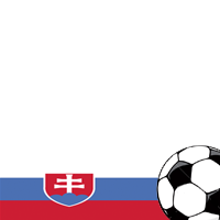 World Cup 2010: Slovakia