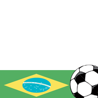 World Cup 2010: Brazil