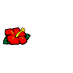 san_san_oasis-flower(left)