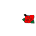 hanahana-flower(right)