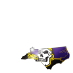 East Carolina Pirates
