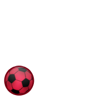 RODO - 2010 FIFA World Cup