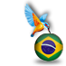 Brazil with Kingfisher #bra