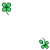 clover