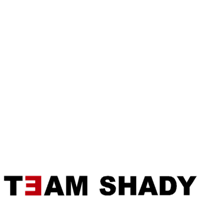 Team Shady