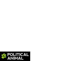 RSPCA Political Animal