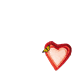 #<3sakineh