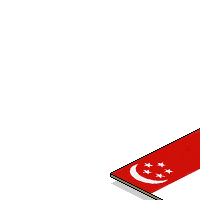 NDP Fly Our Digital Flag