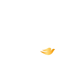 Dove Self-Esteem Weekend