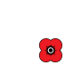 Poppyscotland 2010 - 2