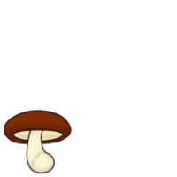 Shiitake_BottomLeft