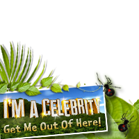 I'm a Celebrity 2010