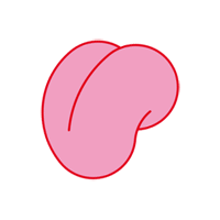 Queer Notions 2010